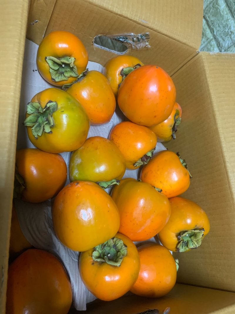 흠이네님의 장터 구매 후기 썸네일