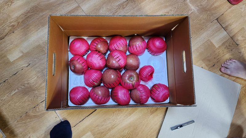 고추 조의현님의 장터 구매 후기 썸네일