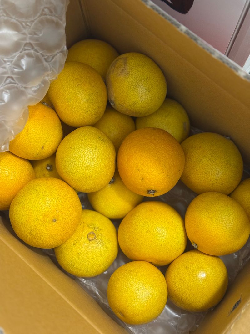 이금순님의 장터 구매 후기 썸네일