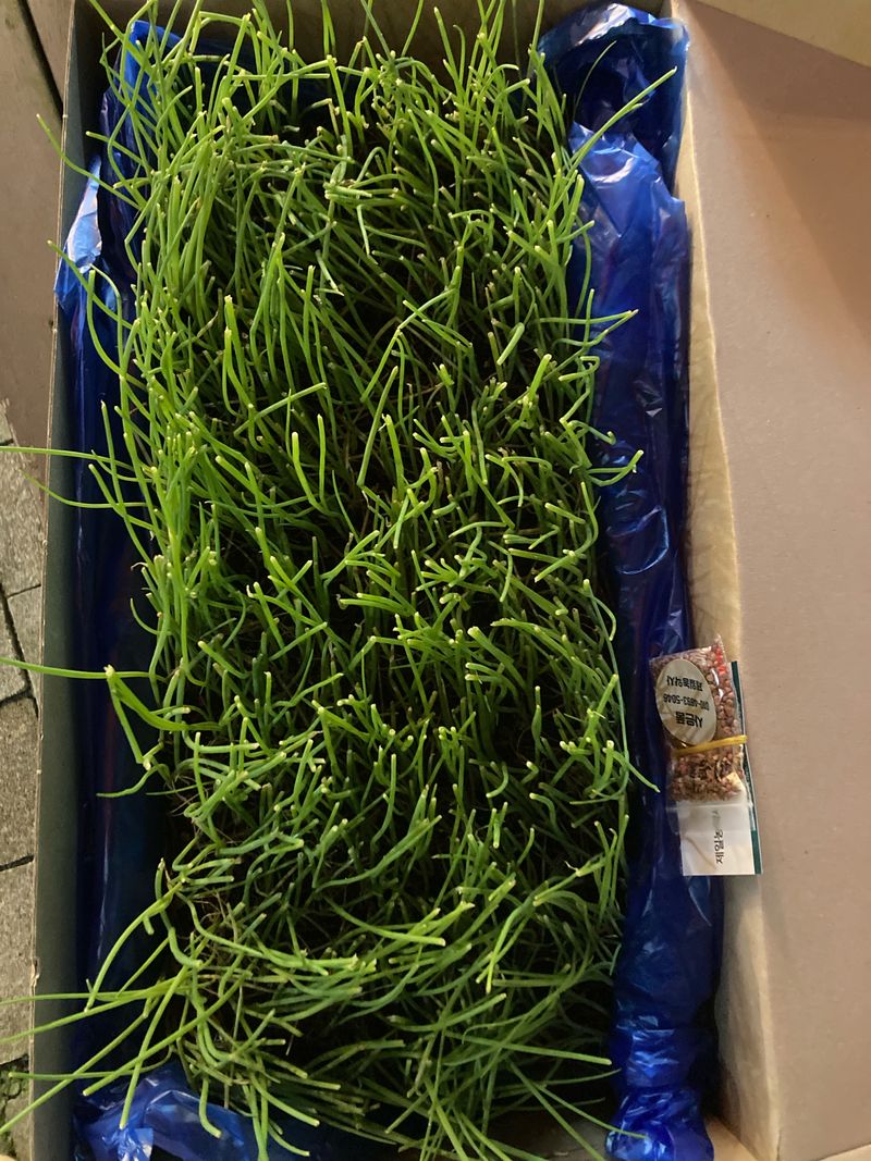 희양산님의 장터 구매 후기 썸네일