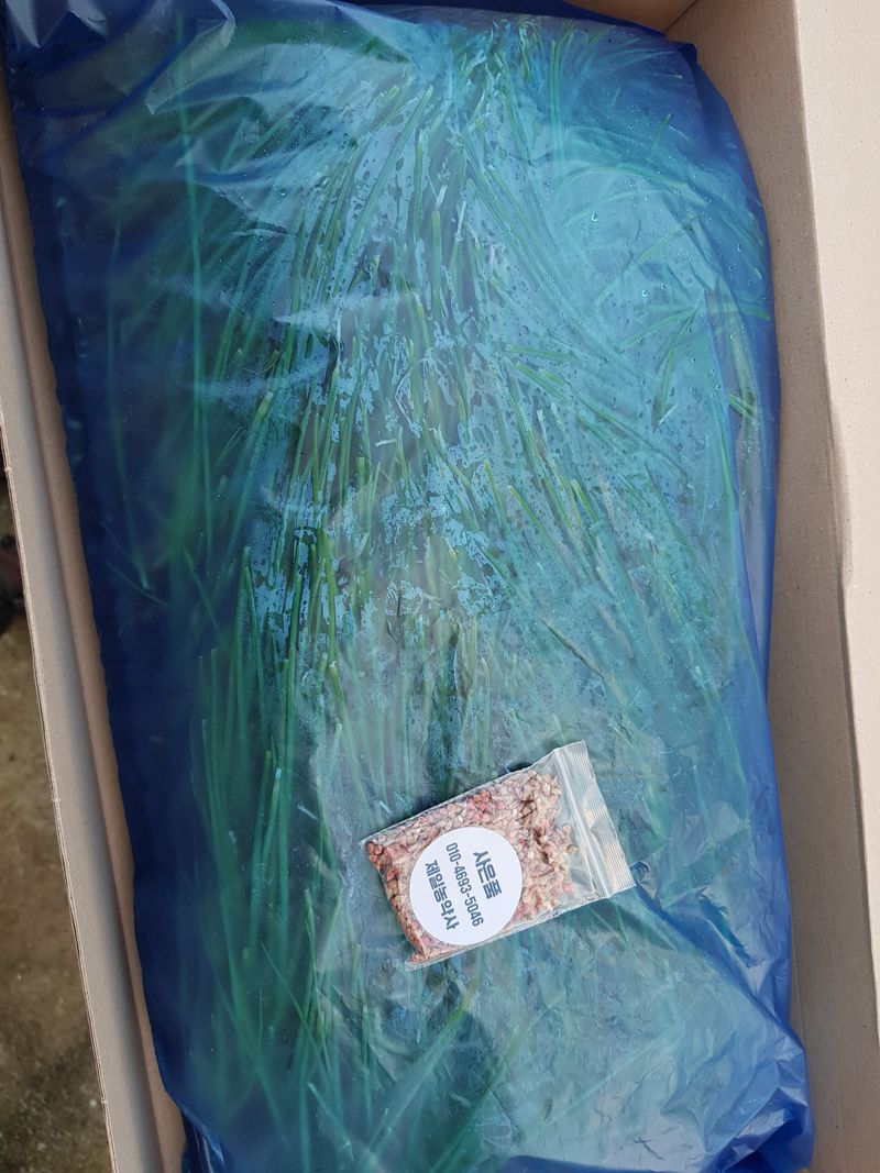 오순님의 장터 구매 후기 썸네일