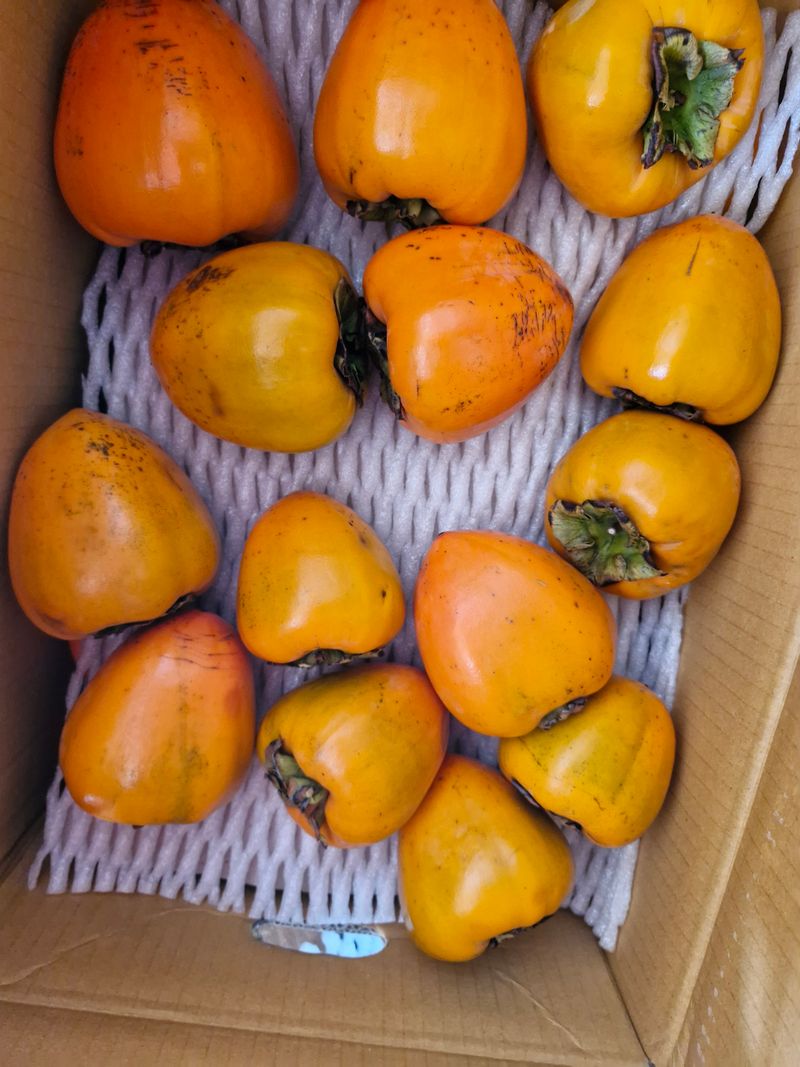 !정의규님의 장터 구매 후기 썸네일