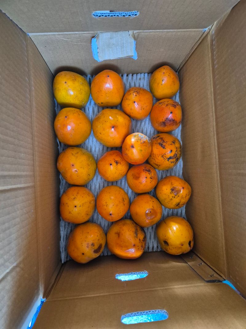 김상례님의 장터 구매 후기 썸네일