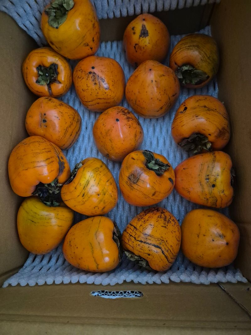 정영호님의 장터 구매 후기 썸네일