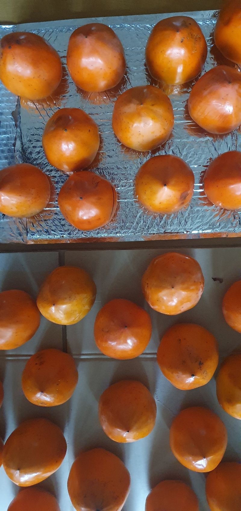 김국연님의 장터 구매 후기 썸네일