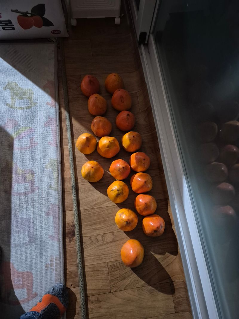 정영진 님의 장터 구매 후기 썸네일