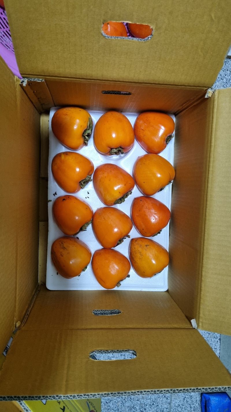 이찬영님의 장터 구매 후기 썸네일