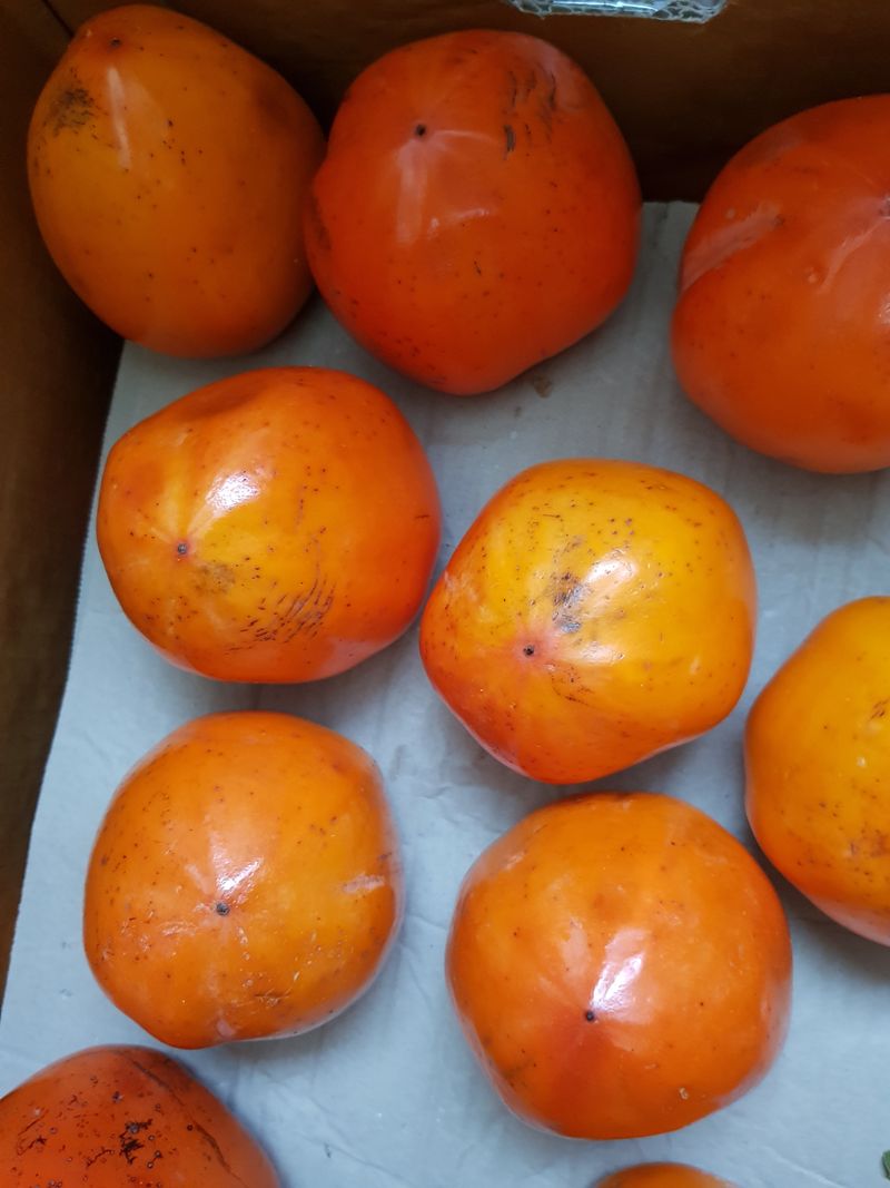 Momo51님의 장터 구매 후기 썸네일