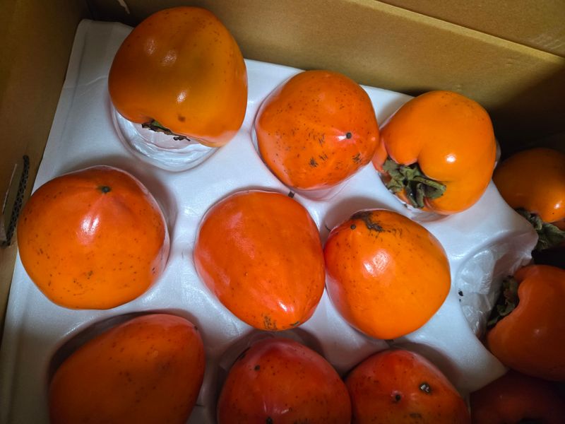 감12568님의 장터 구매 후기 썸네일