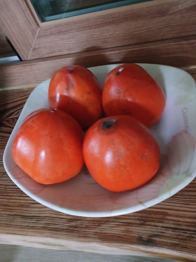 최광순님의 장터 구매 후기 썸네일