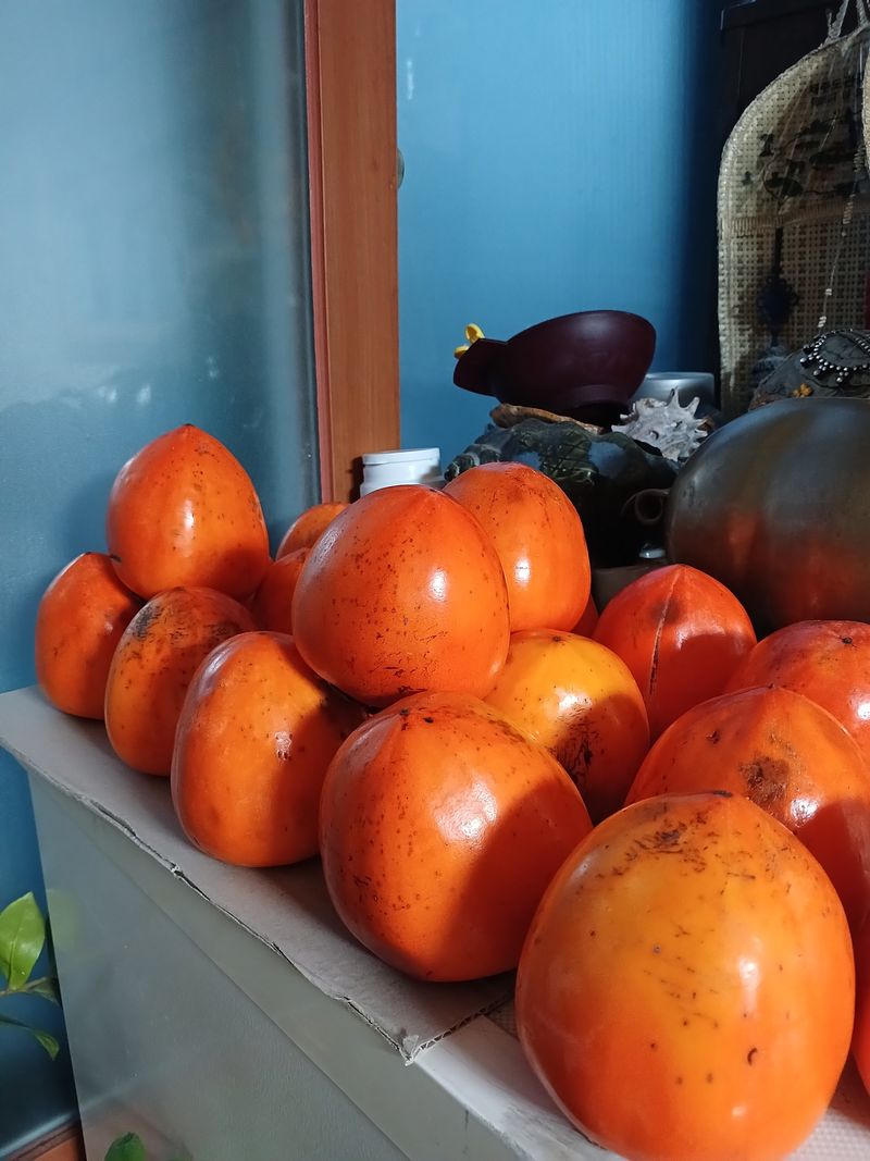 0102413183님의 장터 구매 후기 썸네일