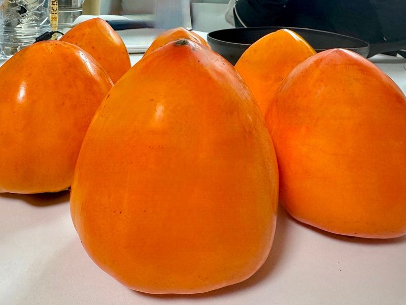 대추18487님의 장터 구매 후기 썸네일