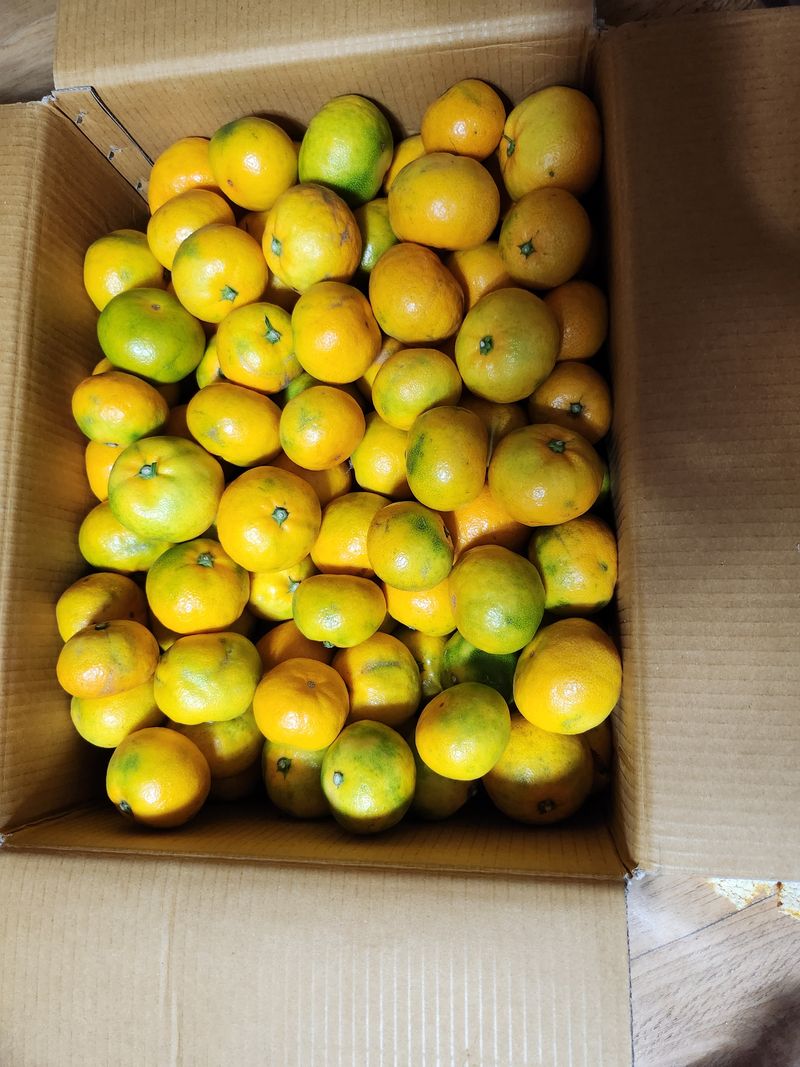 원덕 민병학님의 장터 구매 후기 썸네일