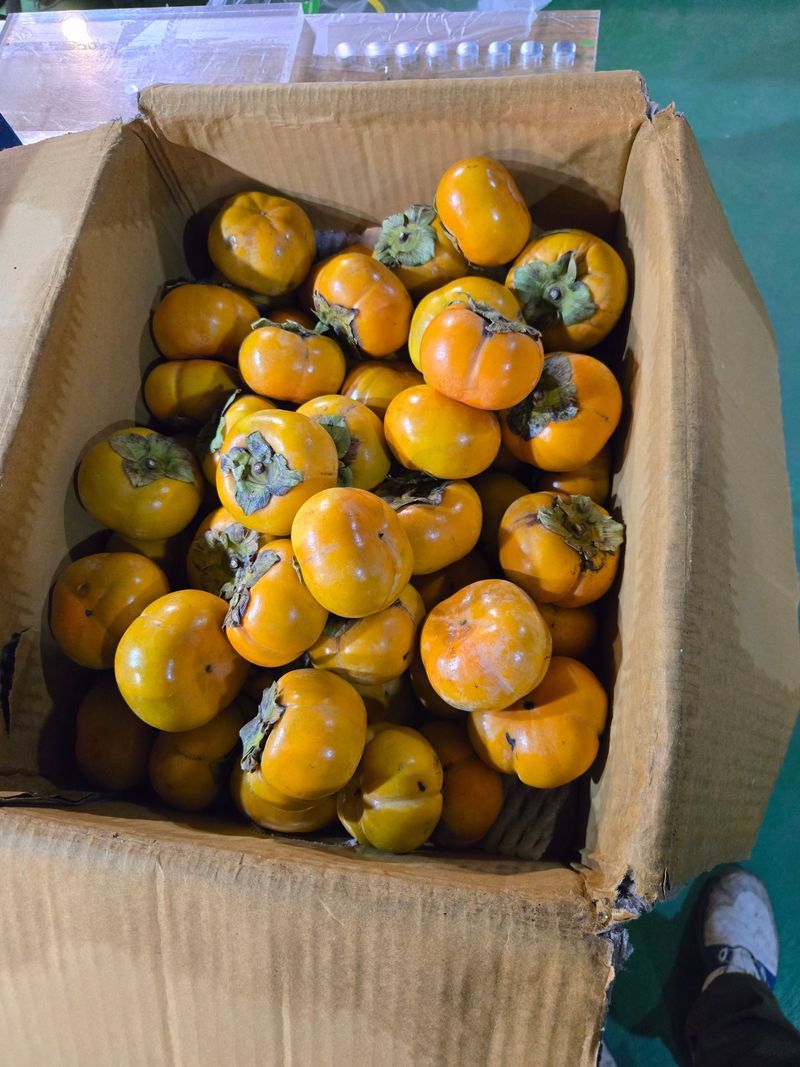 백운산 곰네미님의 장터 구매 후기 썸네일