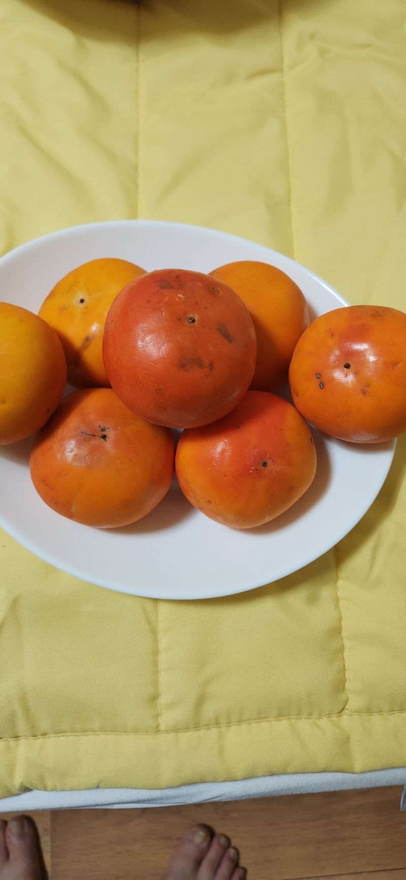 주민진님의 장터 구매 후기 썸네일