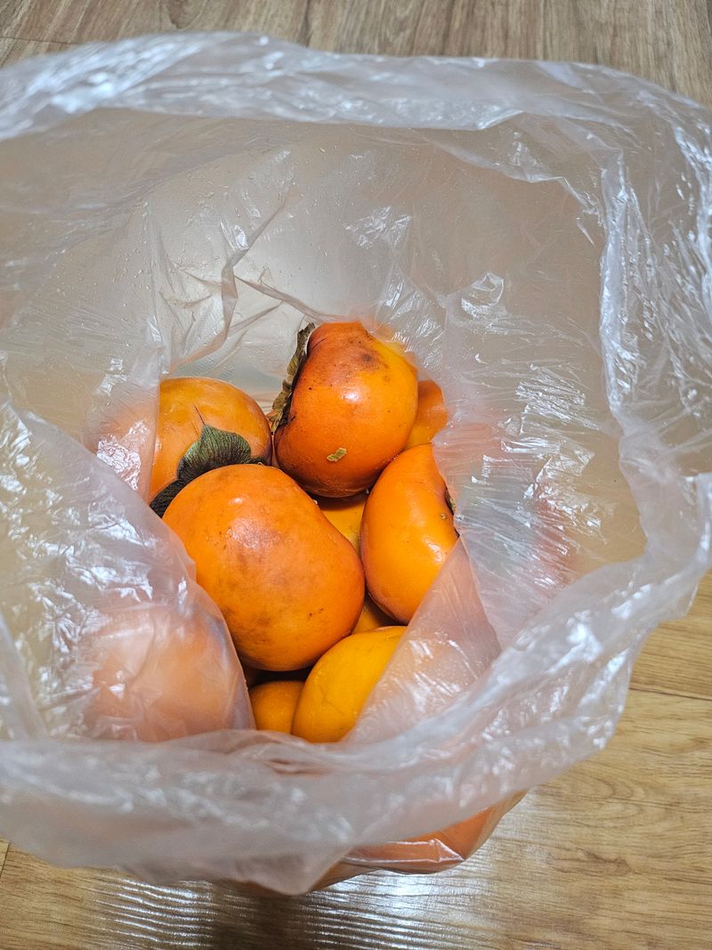 감15364님의 장터 구매 후기 썸네일