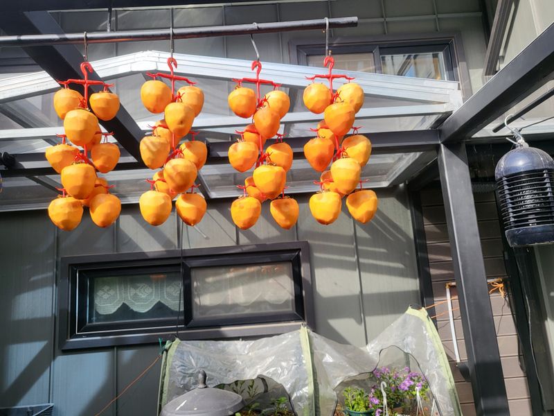 orange22님의 장터 구매 후기 썸네일