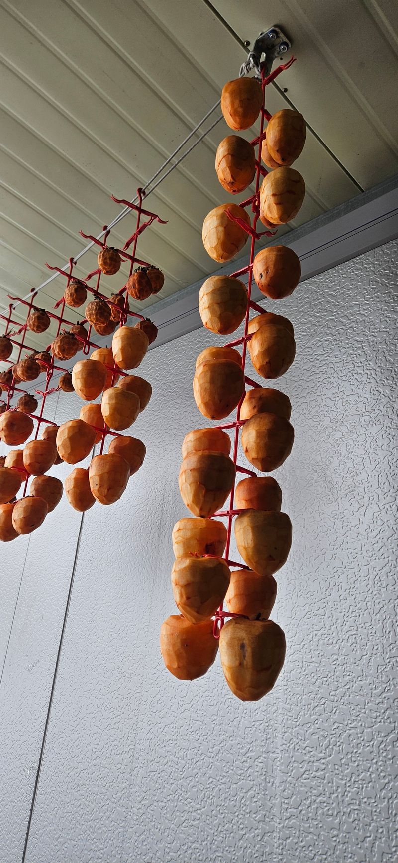 충주시산척면우성호님의 장터 구매 후기 썸네일