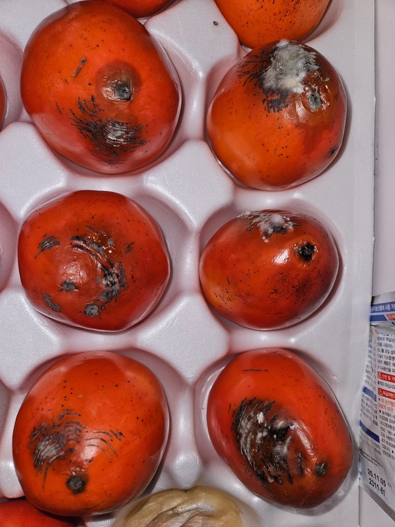 김성현님의 장터 구매 후기 썸네일