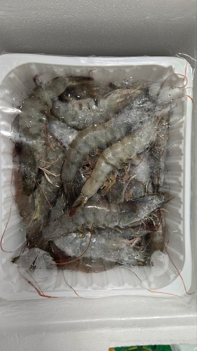 오육공님의 장터 구매 후기 썸네일