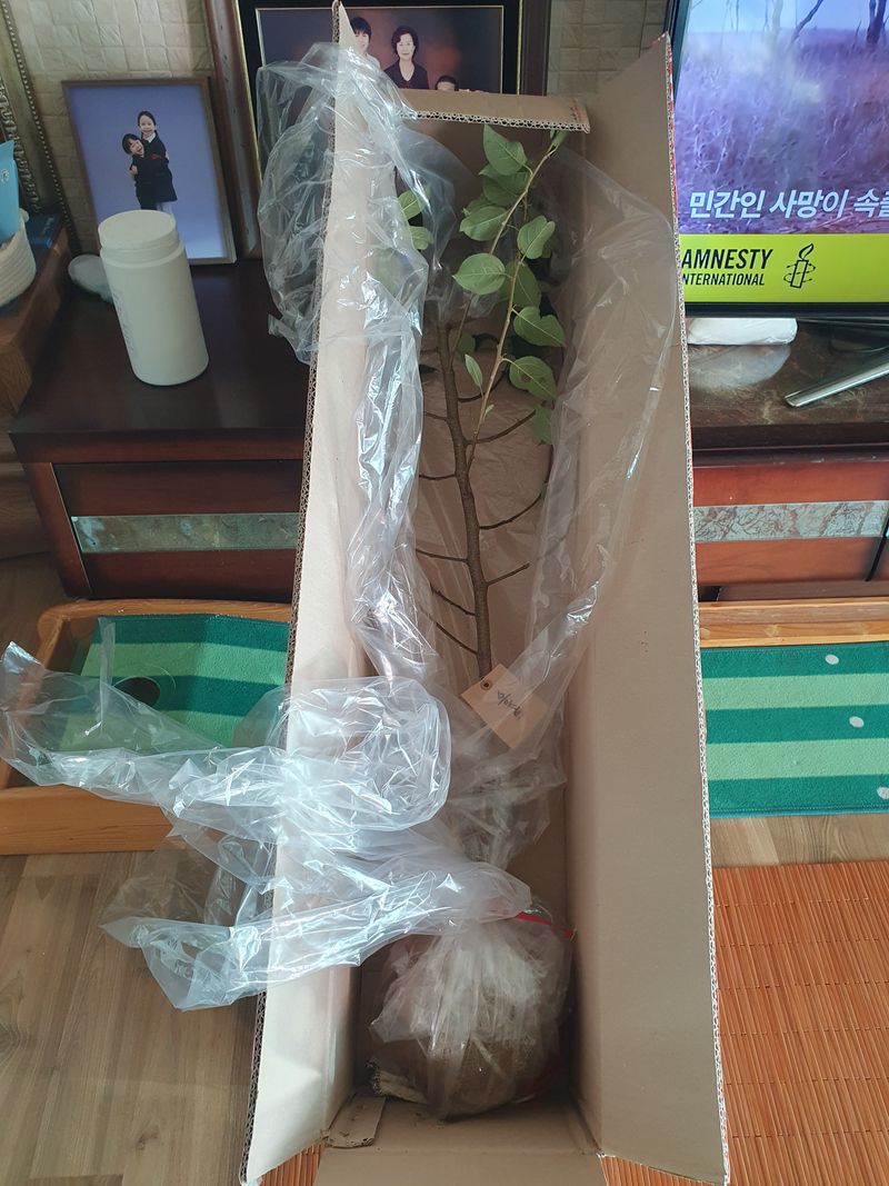 엄기덕님의 장터 구매 후기 썸네일