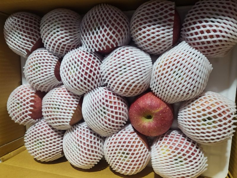 바나나님의 장터 구매 후기 썸네일