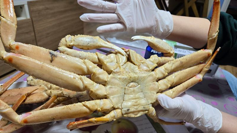 오육공님의 장터 구매 후기 썸네일