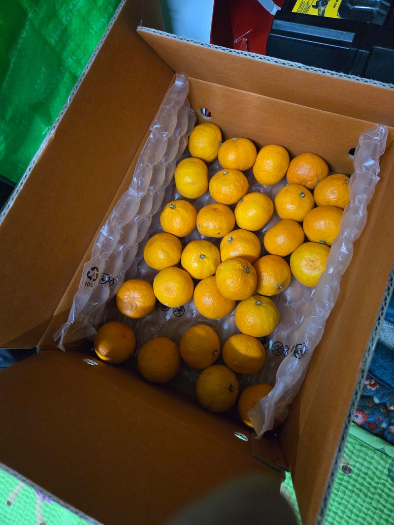 백운산 곰네미님의 장터 구매 후기 썸네일