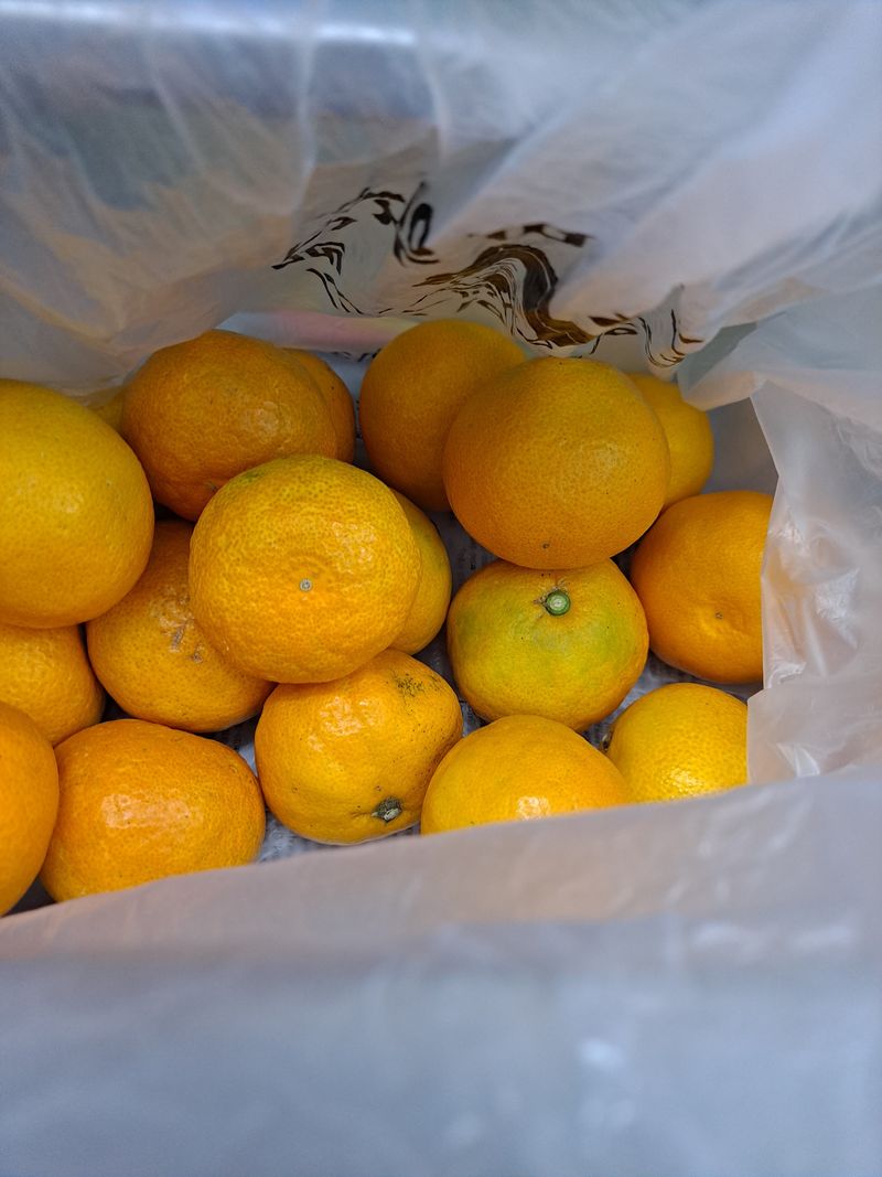 김미자님의 장터 구매 후기 썸네일