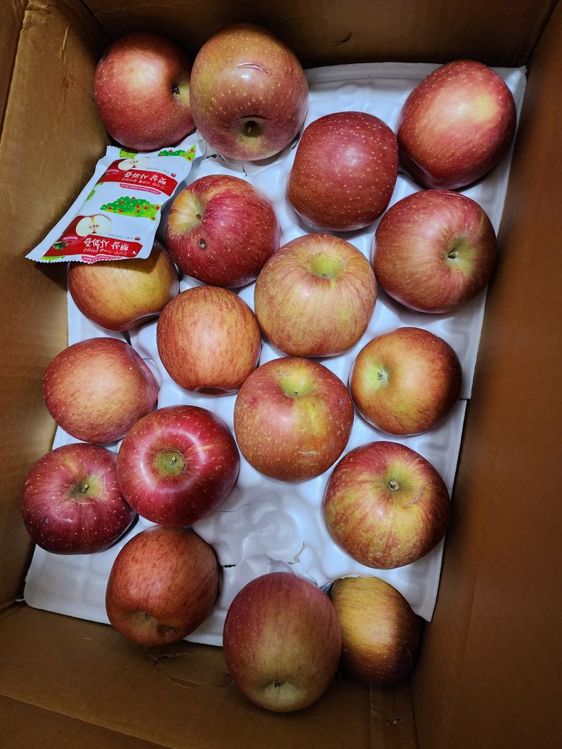 딸기2361님의 장터 구매 후기 썸네일