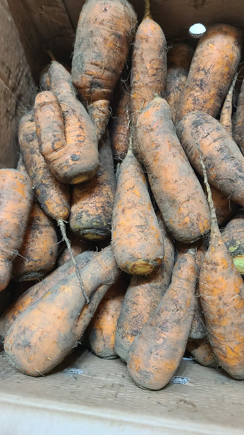 김해주님의 장터 구매 후기 썸네일