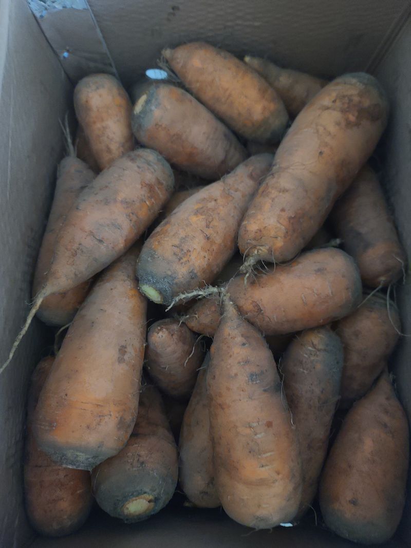 조귀연님의 장터 구매 후기 썸네일