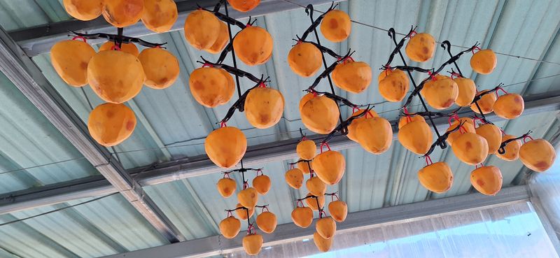 전진원님의 장터 구매 후기 썸네일