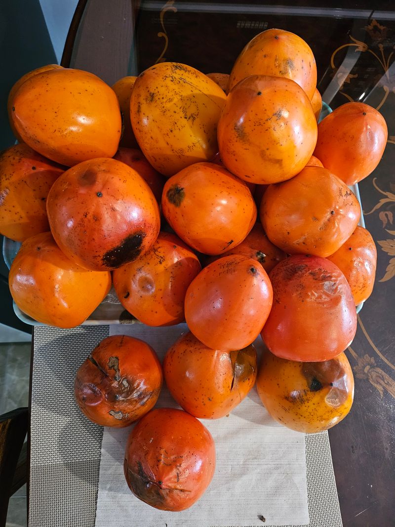 이장선님의 장터 구매 후기 썸네일