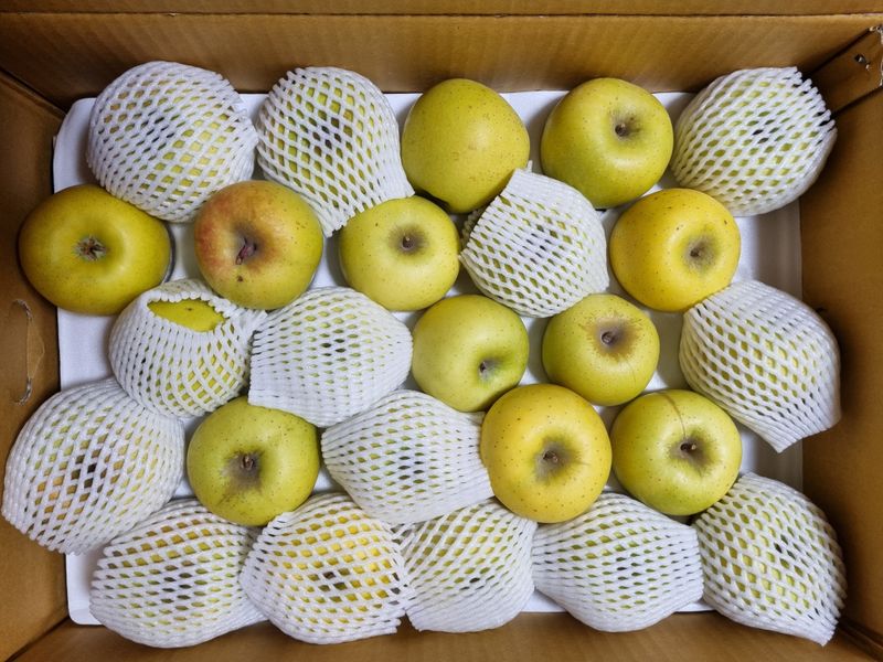 아쌰야로~님의 장터 구매 후기 썸네일