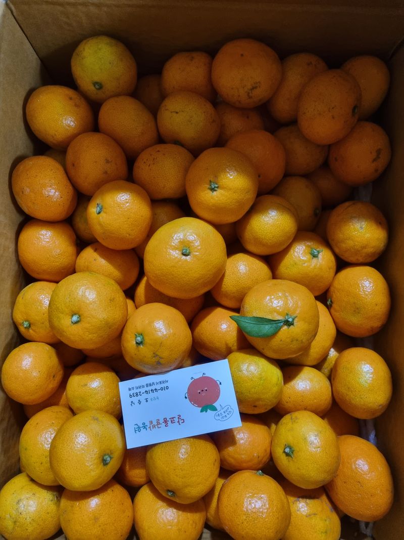 하동 산골 아지매님의 장터 구매 후기 썸네일