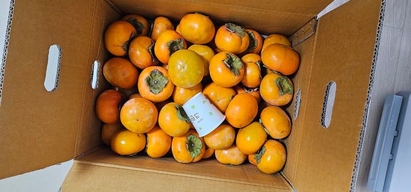 나주상남자님의 장터 구매 후기 썸네일