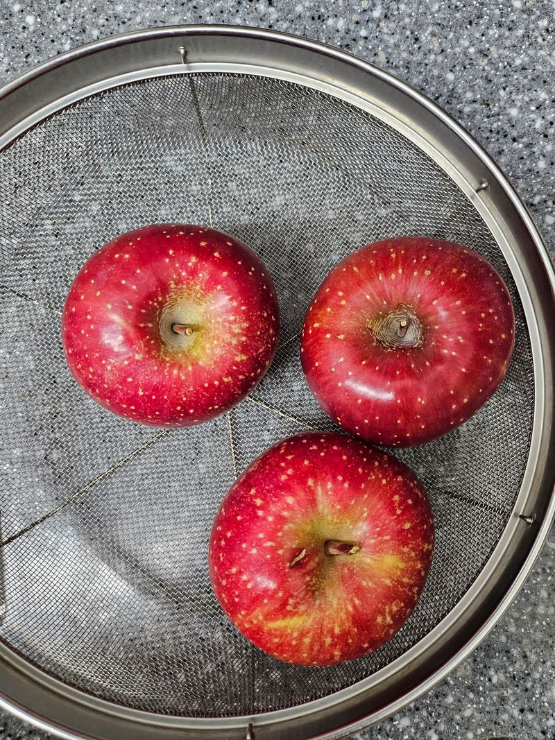 부추신랑 쪽파신부님의 장터 구매 후기 썸네일