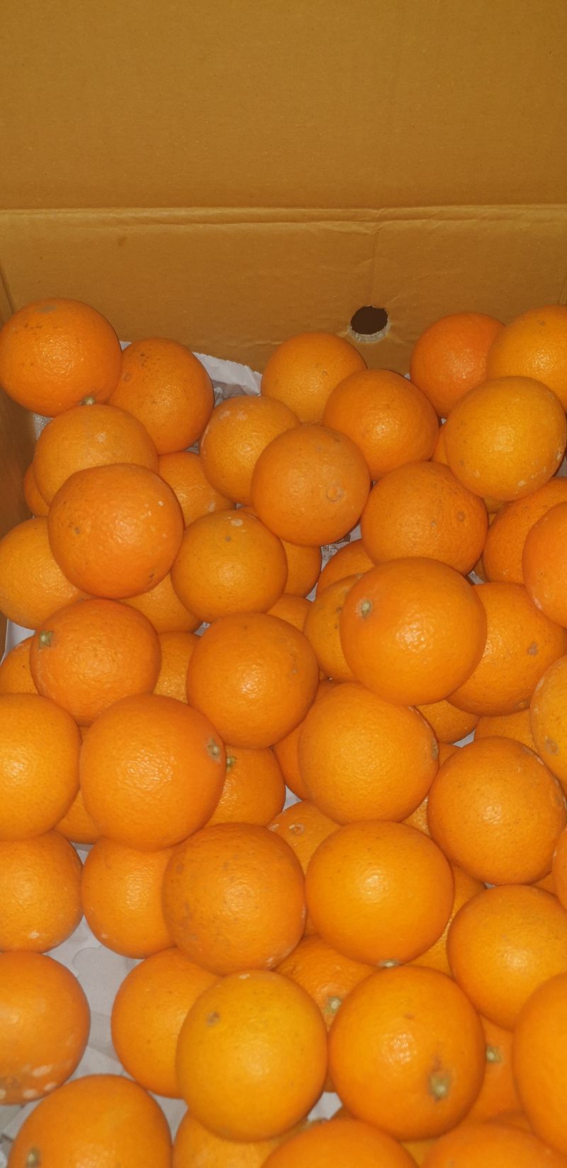 민경식님의 장터 구매 후기 썸네일