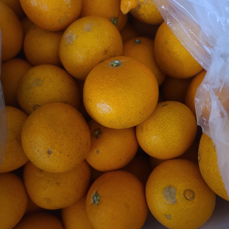 이※경님의 장터 구매 후기 썸네일