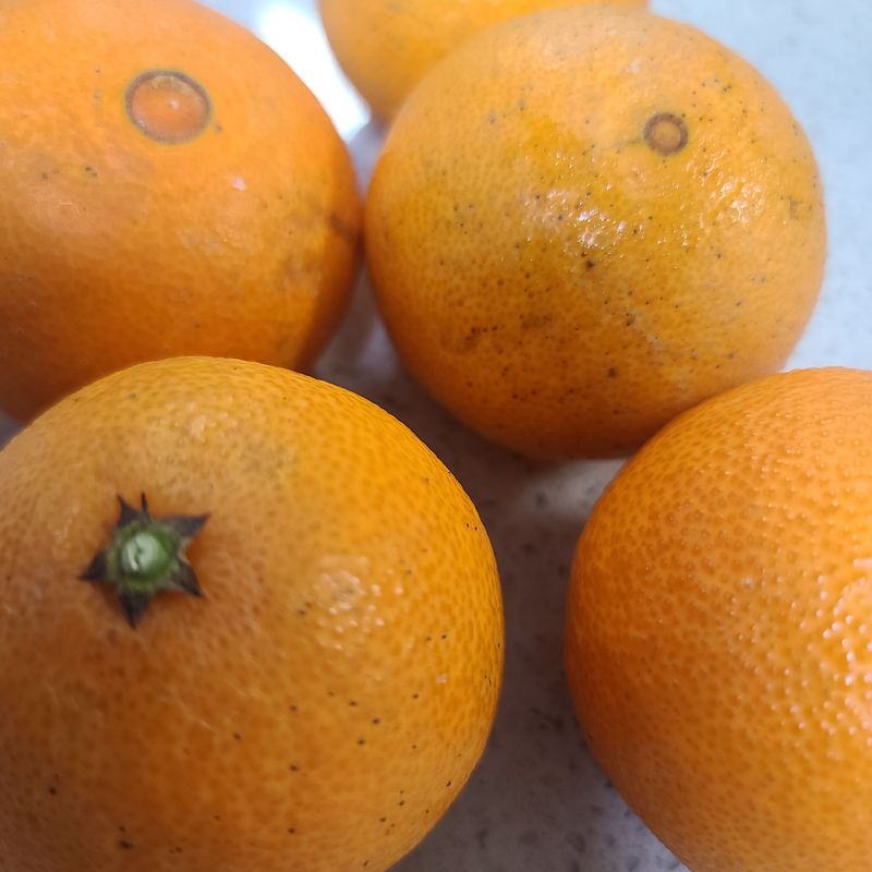 이※경님의 장터 구매 후기 썸네일