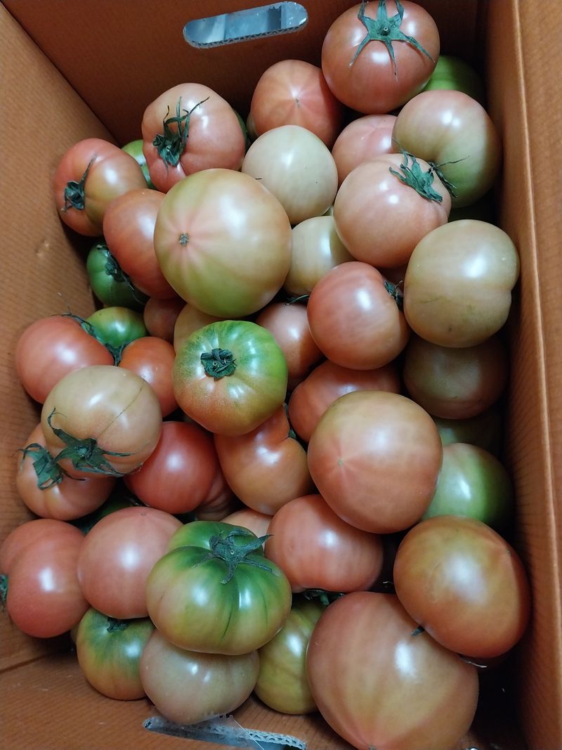 이친구님의 장터 구매 후기 썸네일