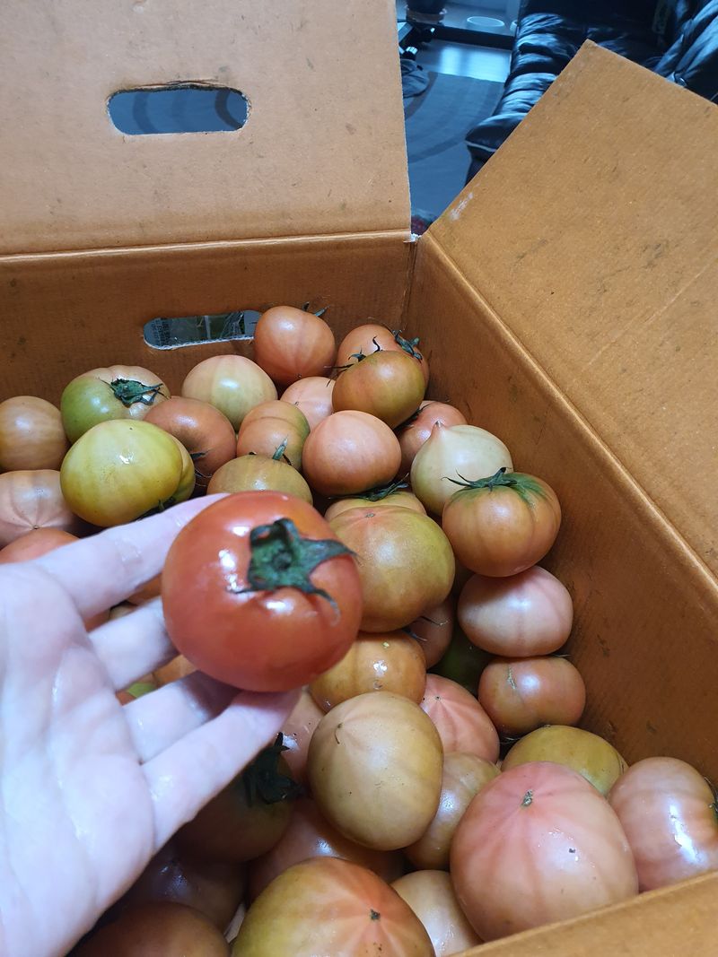 귤24863님의 장터 구매 후기 썸네일