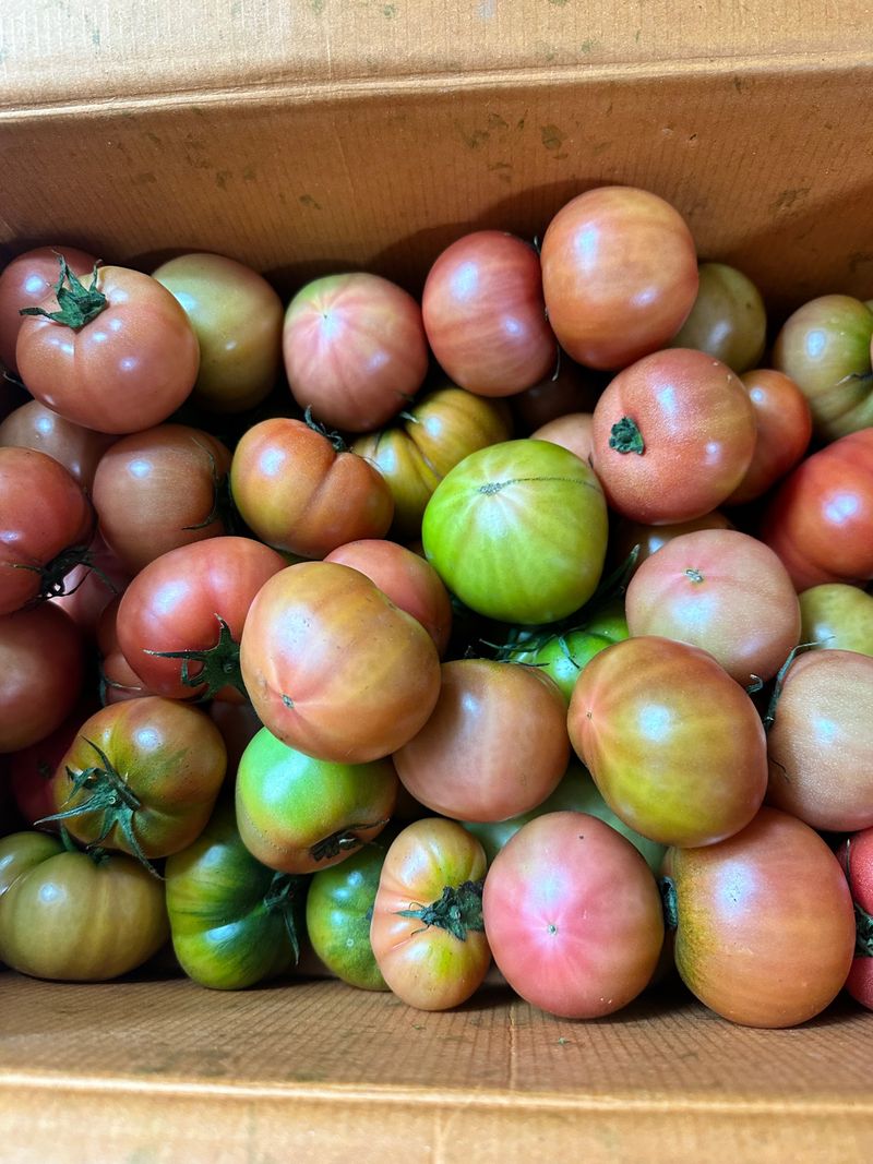 강호선님의 장터 구매 후기 썸네일