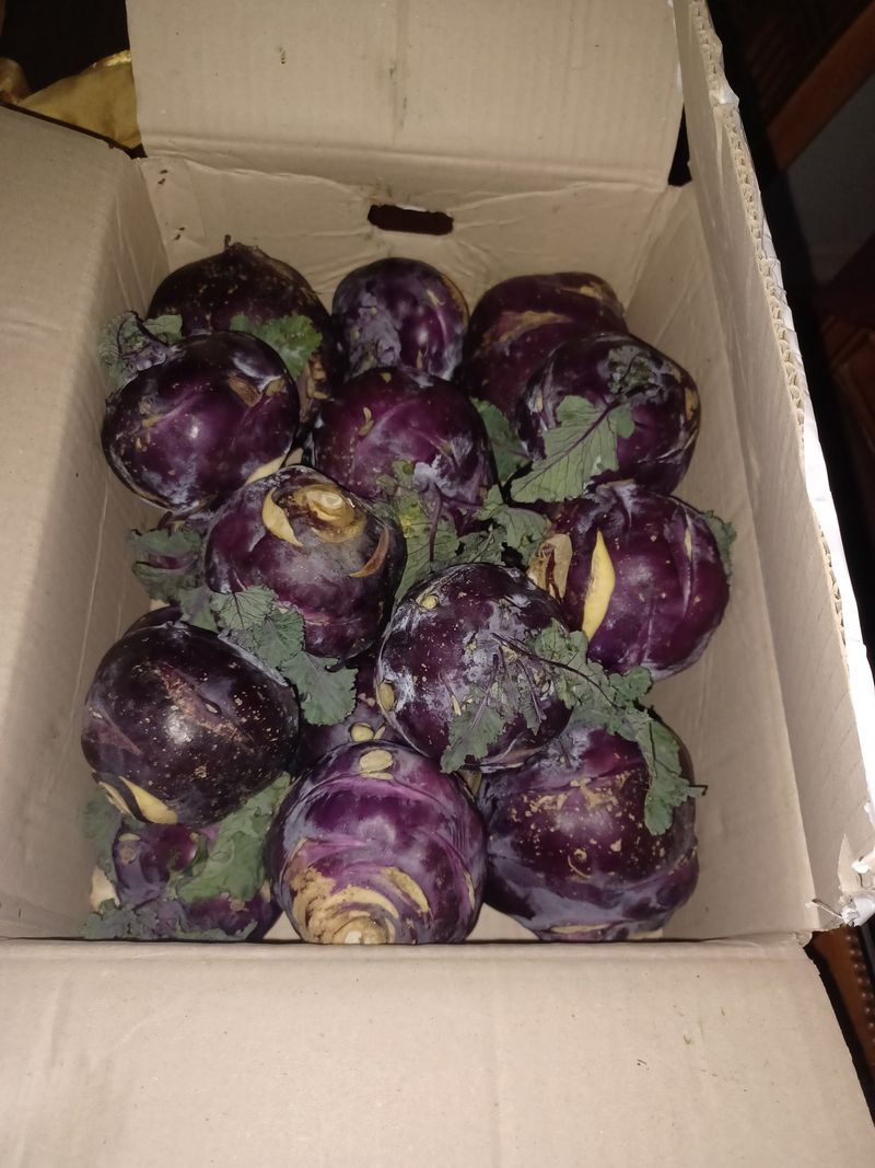 흙&생명님의 장터 구매 후기 썸네일