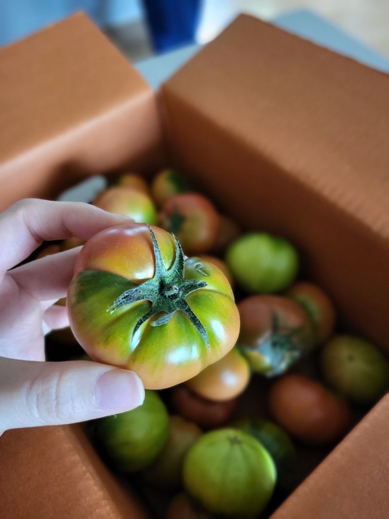 한라이님의 장터 구매 후기 썸네일