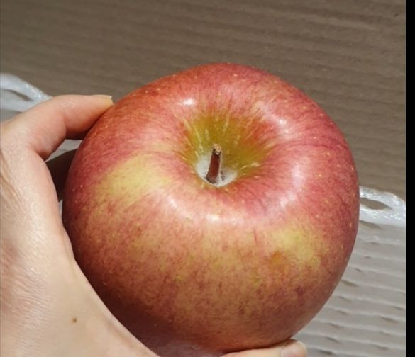 조현남님의 장터 구매 후기 썸네일