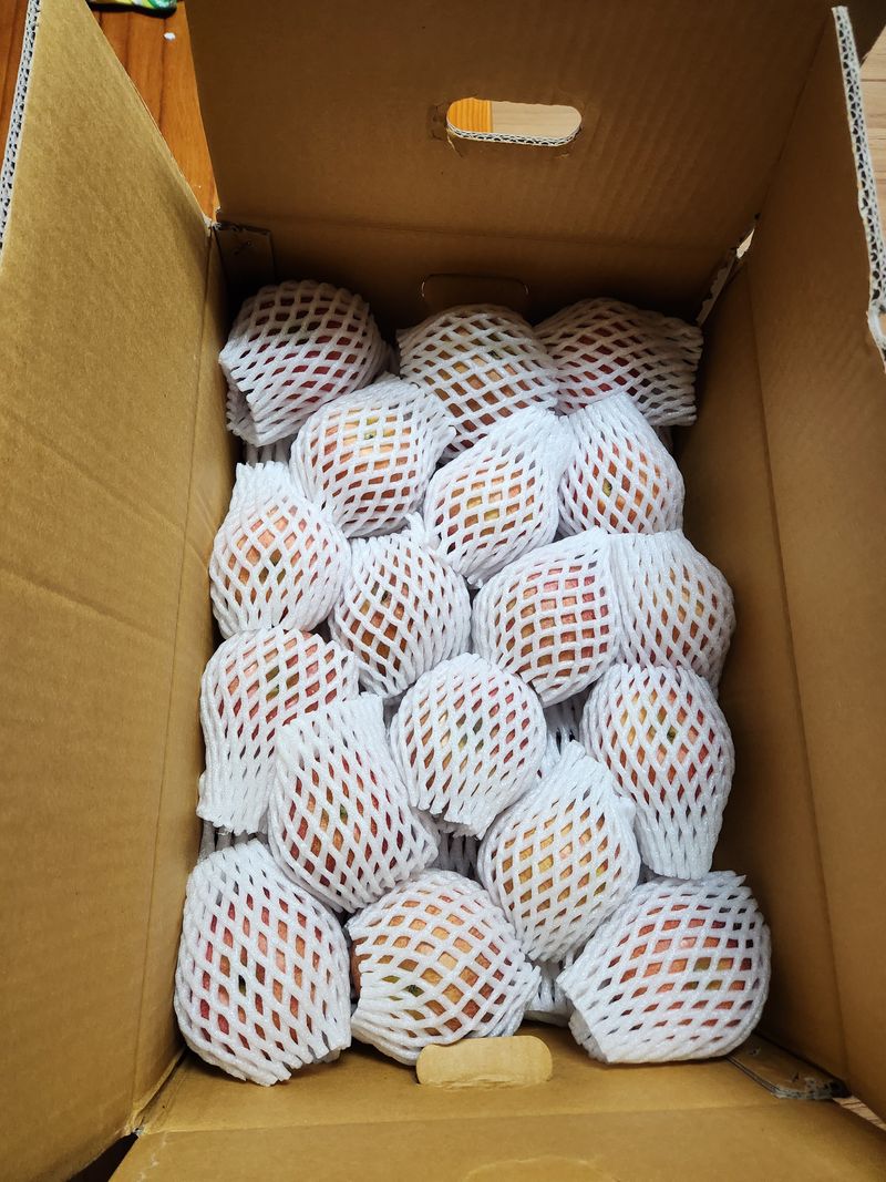 박훈기님의 장터 구매 후기 썸네일