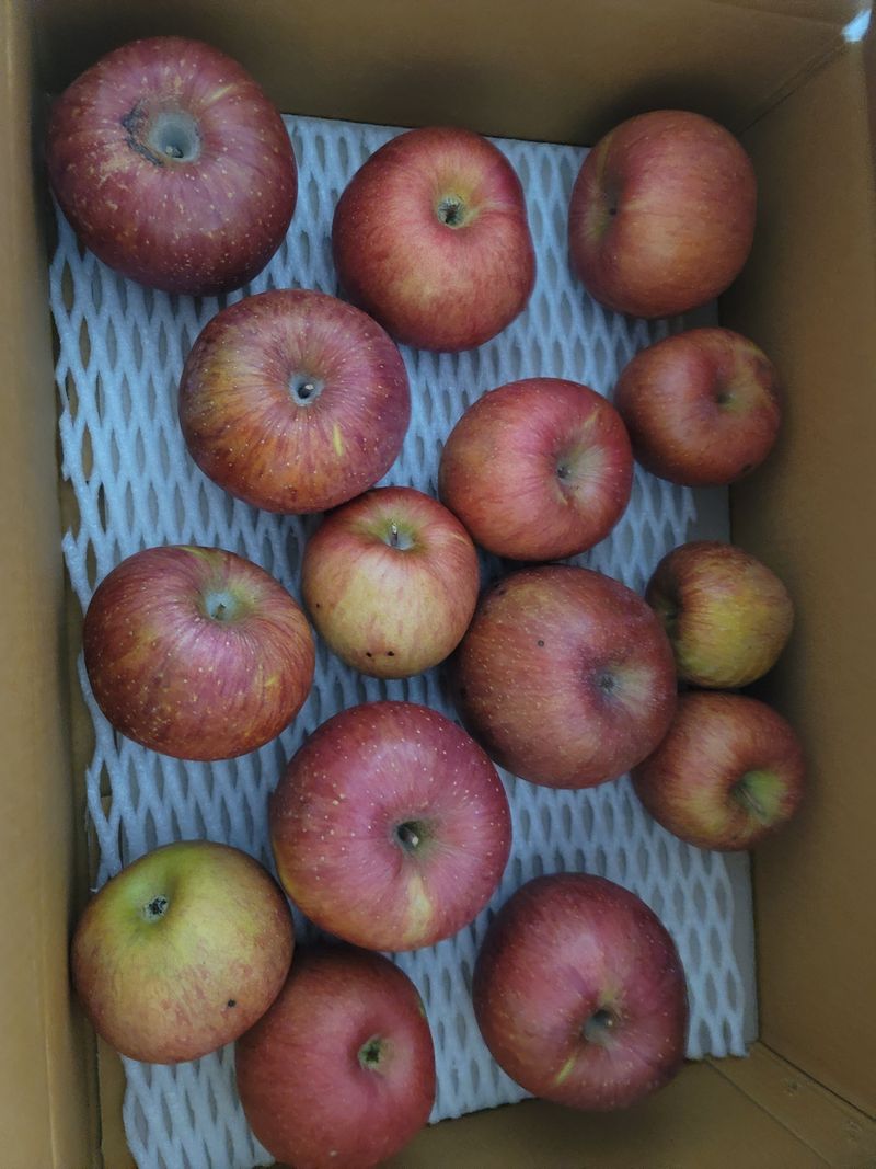 영이님의 장터 구매 후기 썸네일