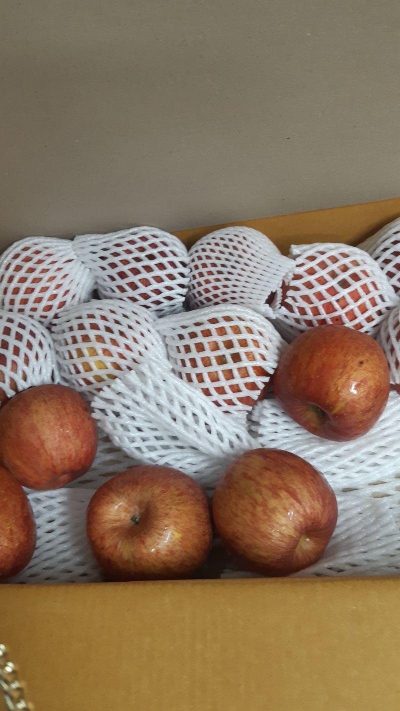 널배님의 장터 구매 후기 썸네일